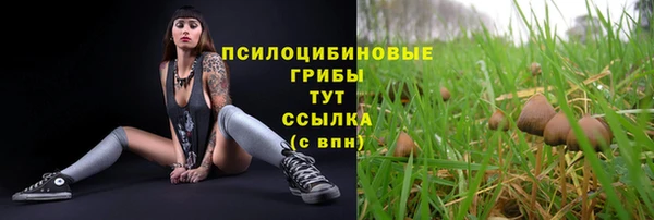 мяу мяу мука Арсеньев