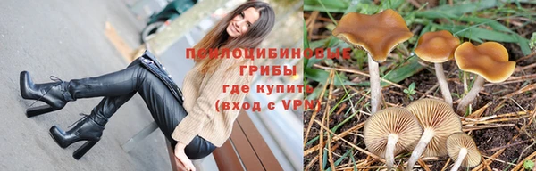 jwh Алзамай